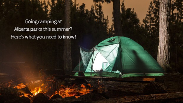Going camping at Alberta campsites this summer- You need to read this!