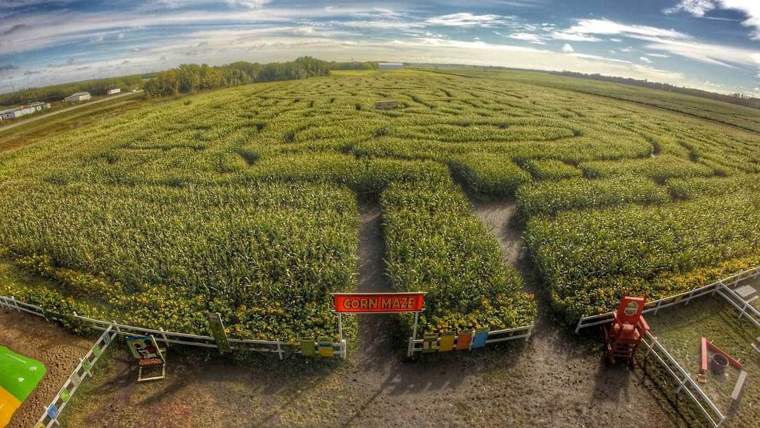 Get lost at the Edmonton Corn Maze + a Giveaway to win 4 tickets