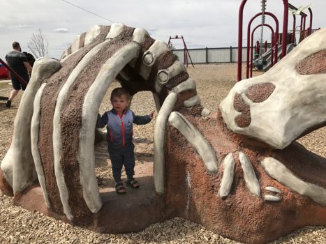 Meadowview Dinosaur Park