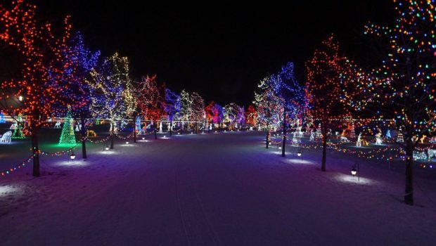 Leduc Country Lights