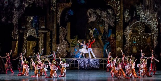 Shumka's Nutcracker Clara's Dream