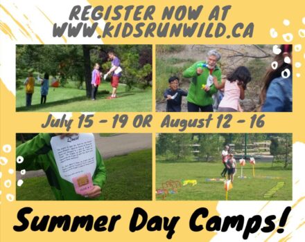 Summer Camps Around Edmonton