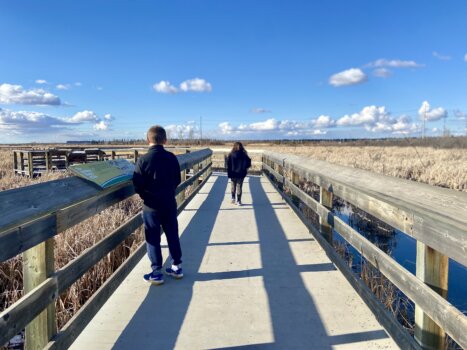 John E. Poole Wetlands